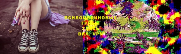 герыч Пересвет