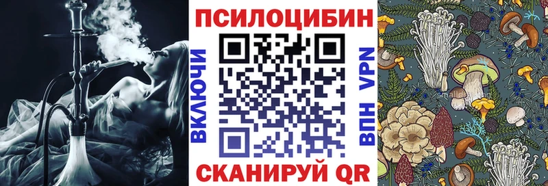 где продают   Татарск  Псилоцибиновые грибы ЛСД 