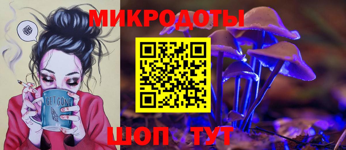 закладка  Татарск  Галлюциногенные грибы Cubensis 