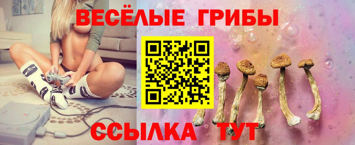Галлюциногенные грибы Cubensis Татарск