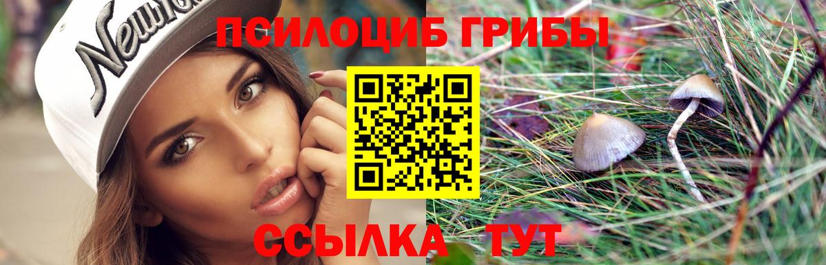 Татарск  Псилоцибиновые грибы MAGIC MUSHROOMS  Псилоцибиновые грибы Psilocybe  Вход с VPN 